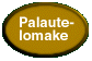 Palaute